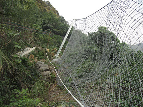 被動(dòng)防護(hù)網(wǎng)圖片3